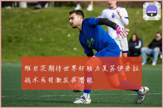 维尔茨期待世界杯助力复苏伊劳拉战术或将激发其潜能