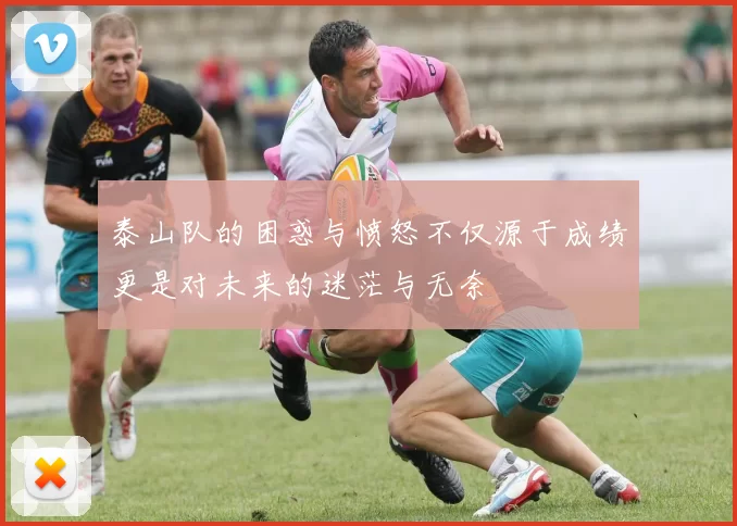 泰山队的困惑与愤怒不仅源于成绩更是对未来的迷茫与无奈